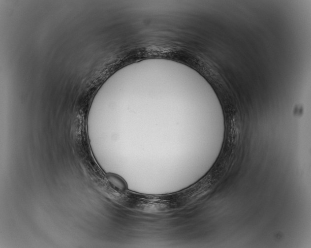 X0000115350463200911241157