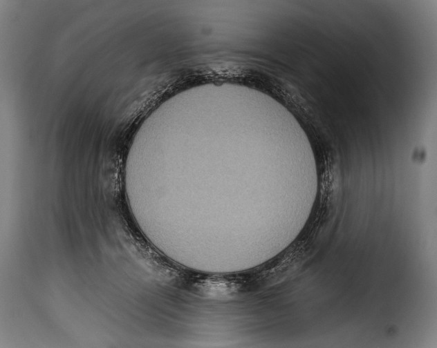 X0000115350464200911241157