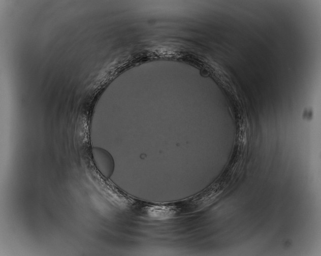 X0000115350465200911241157