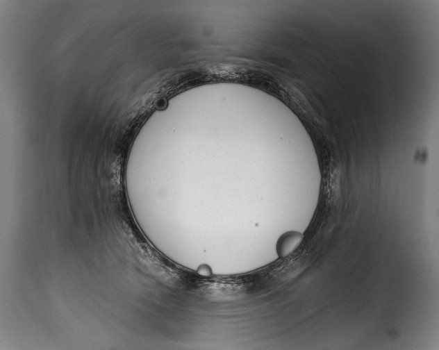 X0000115350466200911241157