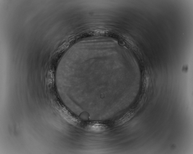 X0000115350467200911241157