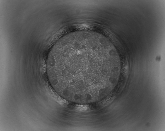 X0000115350469200911241157