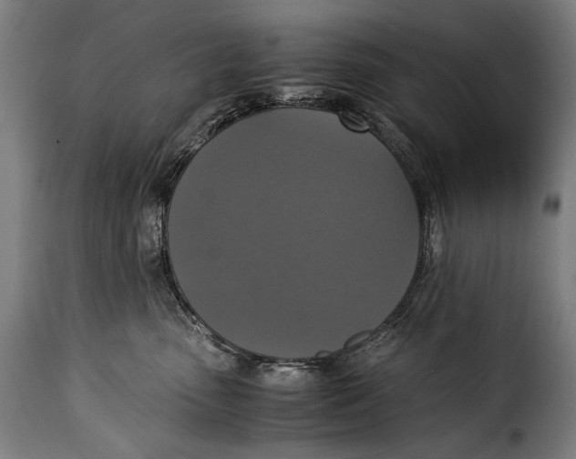 X0000115350475200911241157