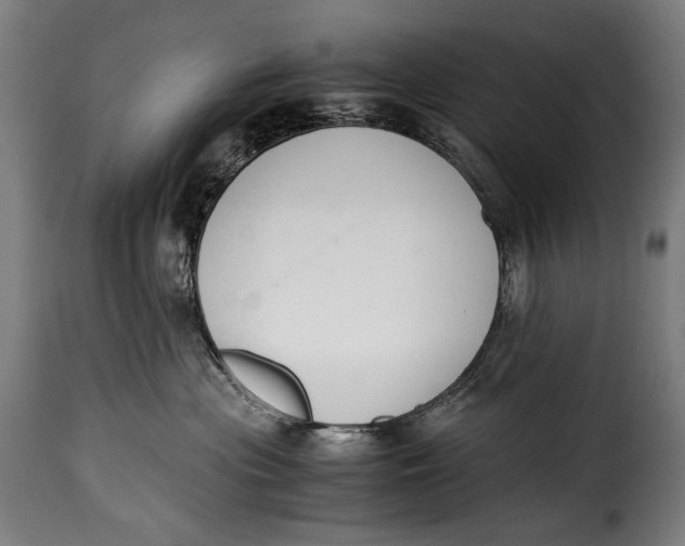 X0000115350477200911241157
