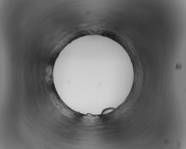X0000115350480200911241157