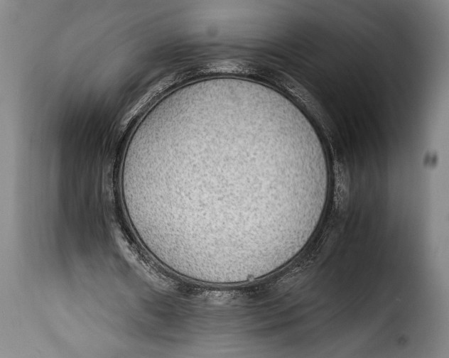 X0000115350482200911241156