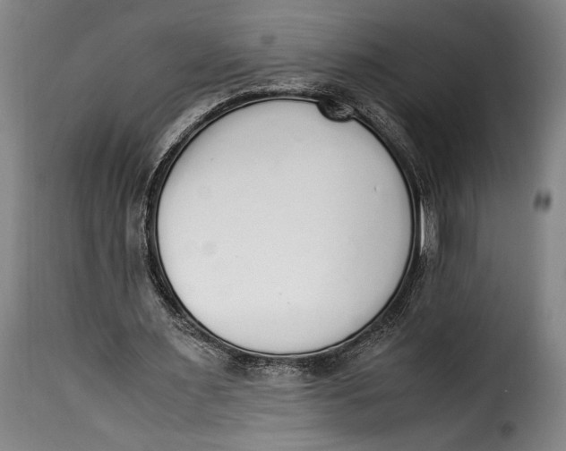 X0000115350483200911241156