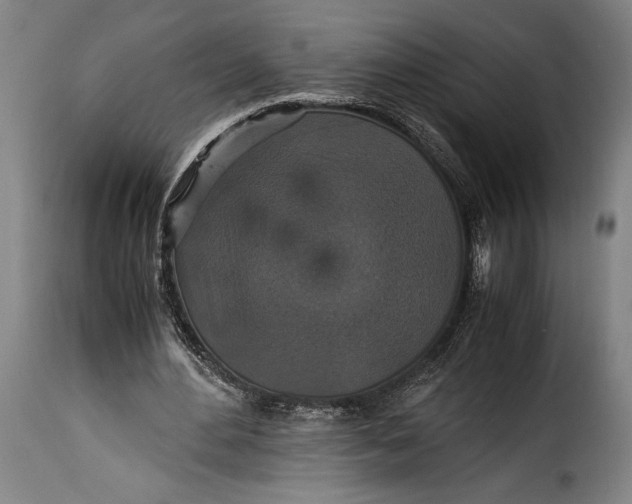 X0000115350484200911241156