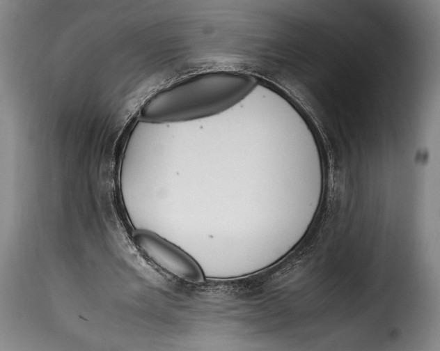 X0000115350485200911241156