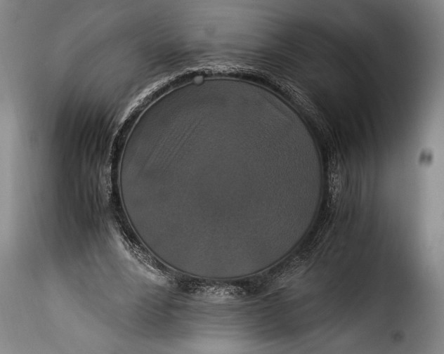 X0000115350488200911241156