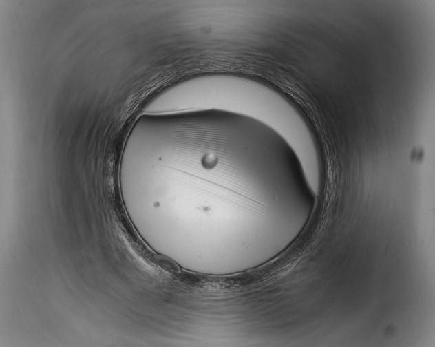 X0000115350489200911241156