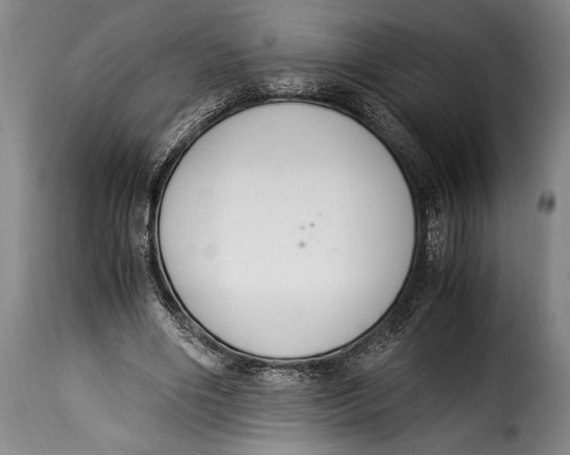X0000115350490200911241156