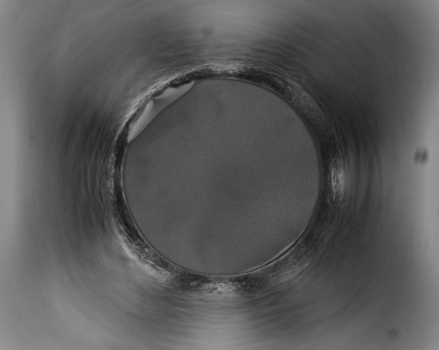 X0000115350492200911241156