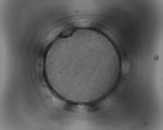 X0000115350493200911241156