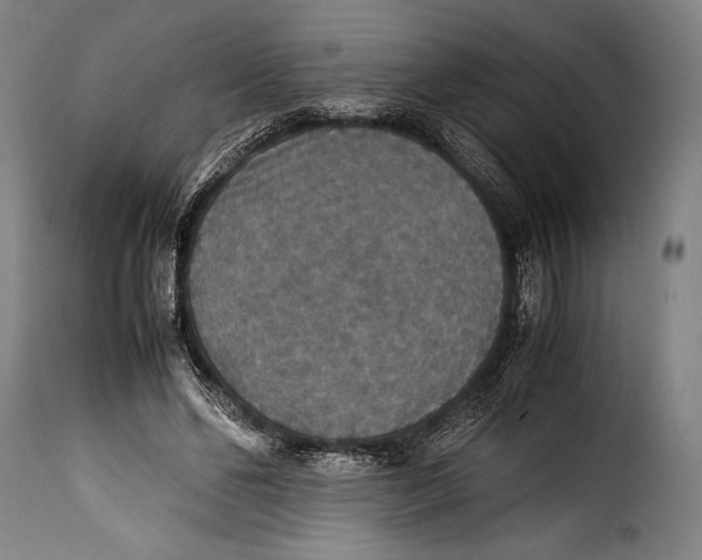 X0000115350494200911241156