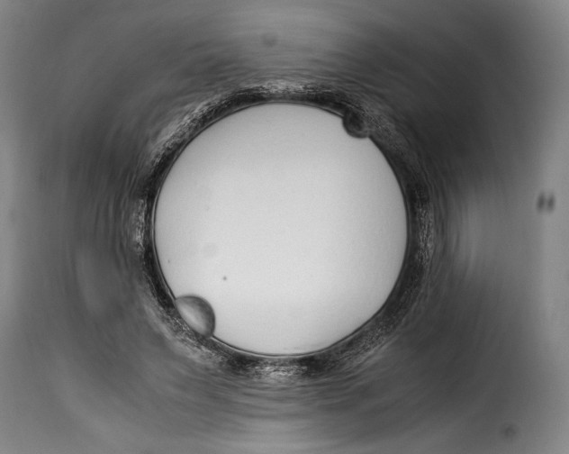 X0000115350495200911241156