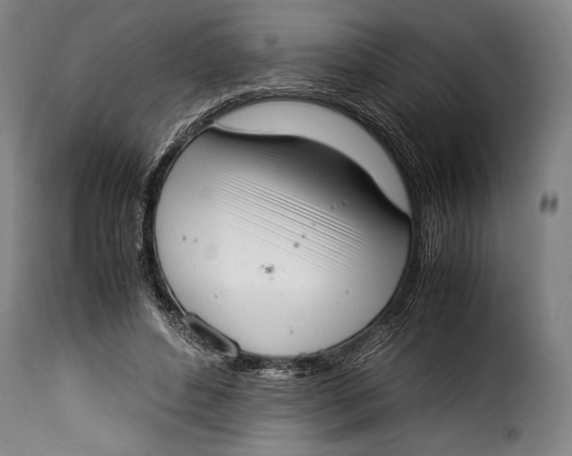 X0000115350496200911241156