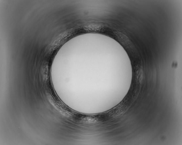 X0000115350498200911241156