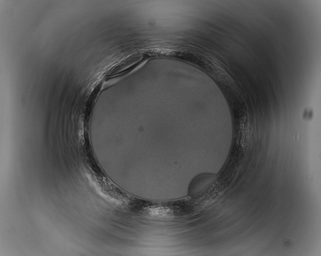 X0000115350500200911241156
