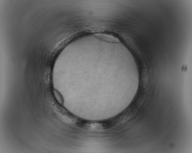 X0000115350501200911241156