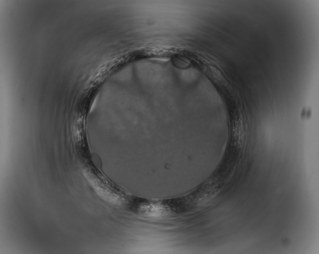 X0000115350503200911241156