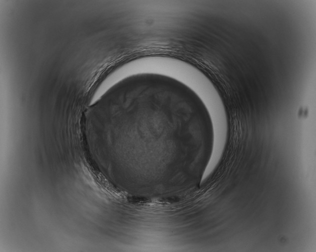 X0000115350504200911241156