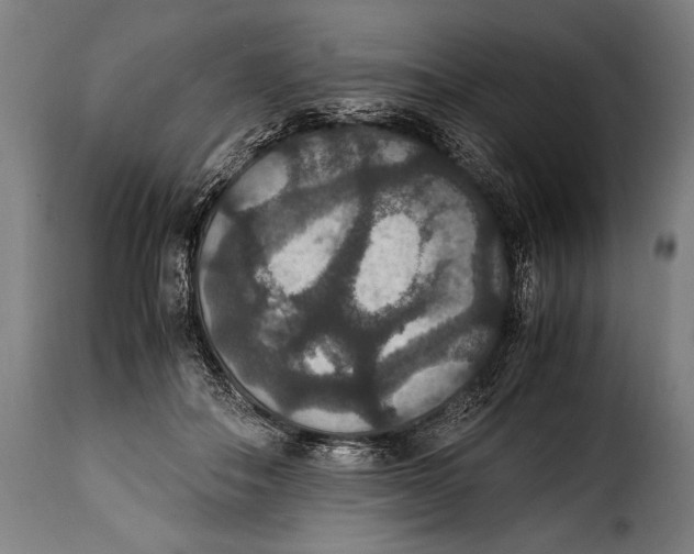 X0000115350506200911241156