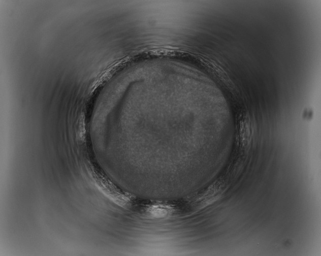X0000115350508200911241156