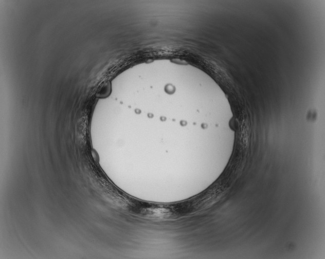 X0000115350509200911241156