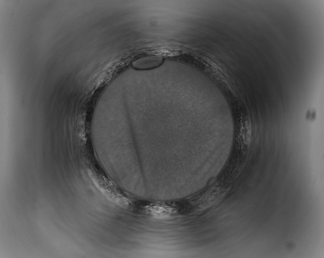 X0000115350512200911241156