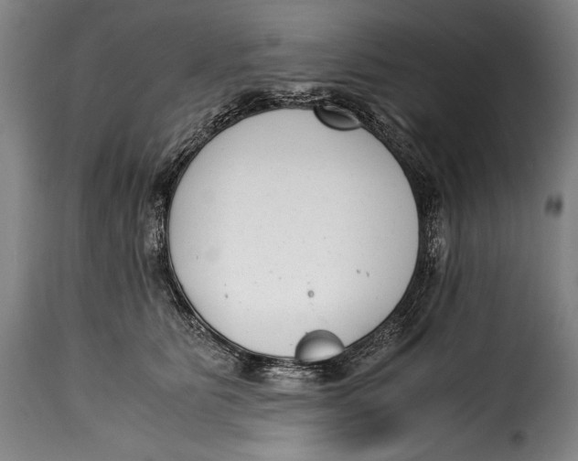 X0000115350515200911241156