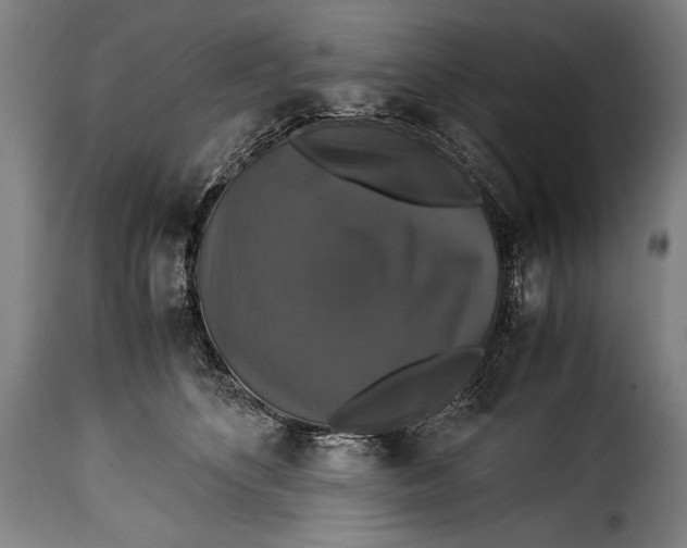X0000115350516200911241156