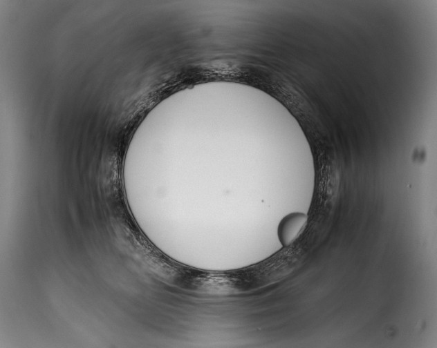 X0000115350518200911241156