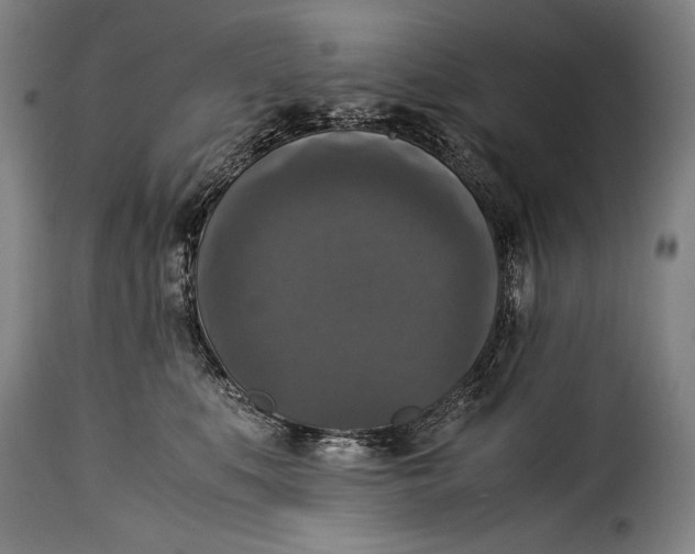 X0000115350519200911241156