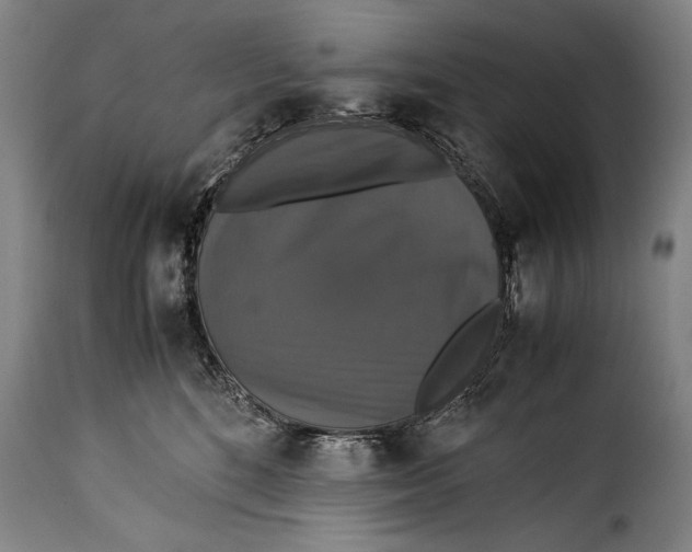 X0000115350520200911241156