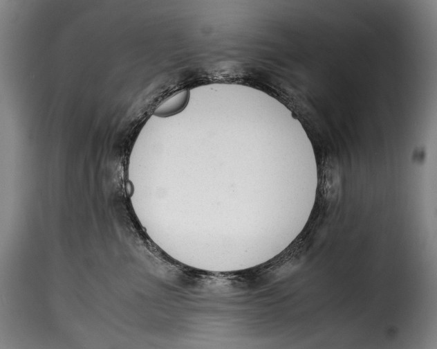 X0000115350523200911241156