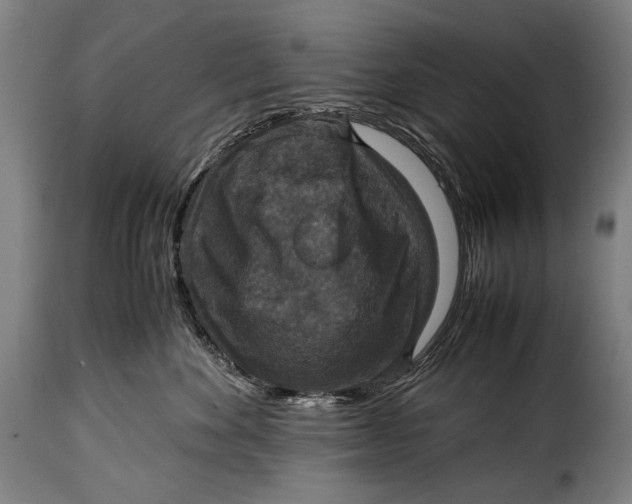 X0000115350524200911241156