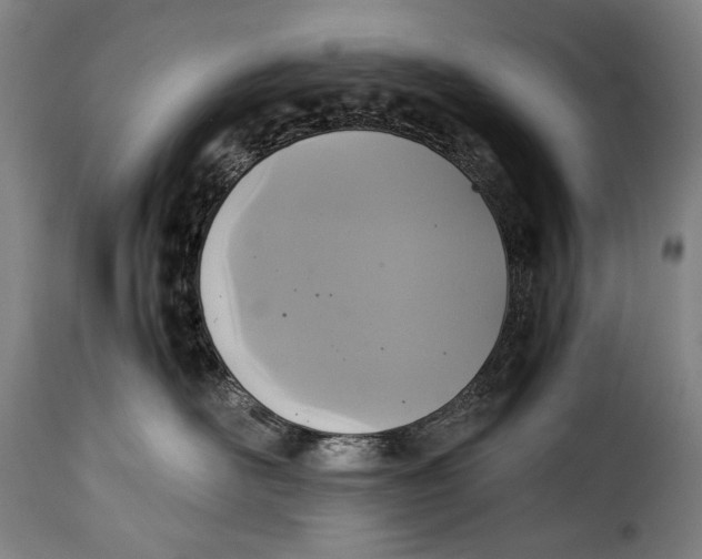 X0000115350526200911241156