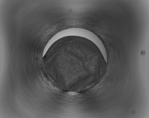 X0000115350528200911241156