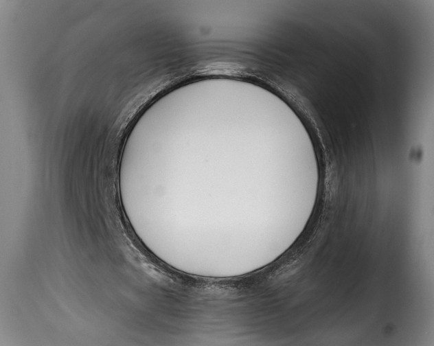 X0000115350529200911241155