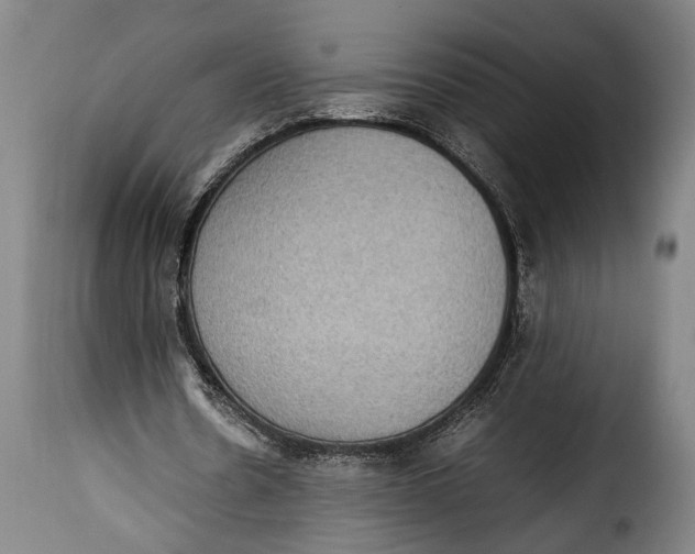 X0000115350530200911241155