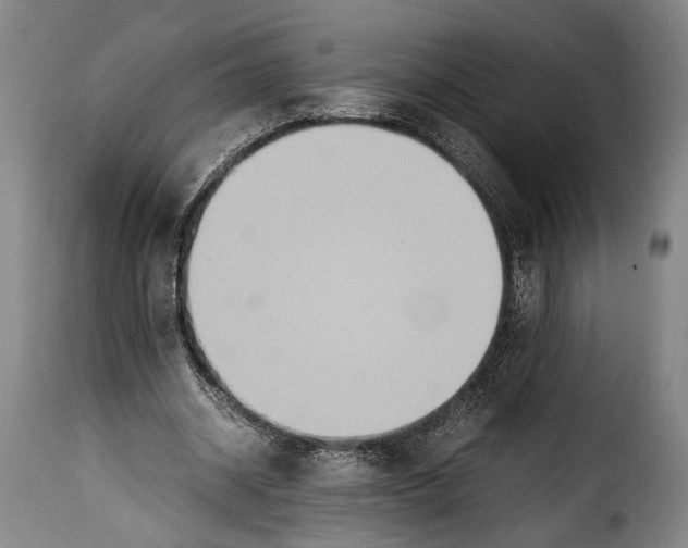 X0000115350534200911241155
