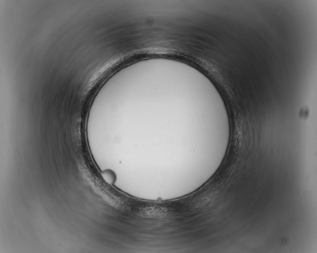 X0000115350535200911241155