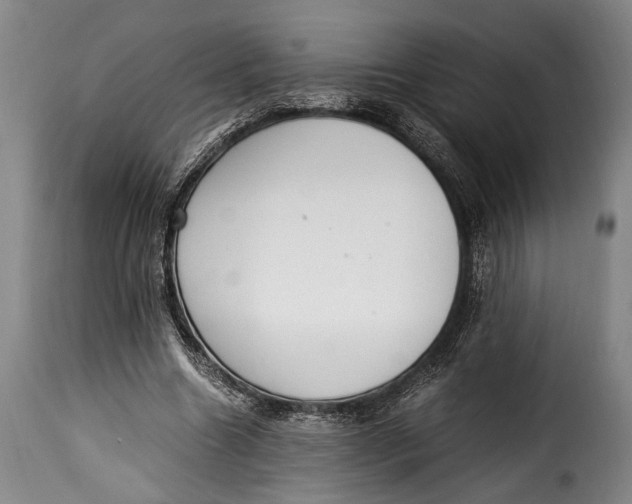 X0000115350538200911241155