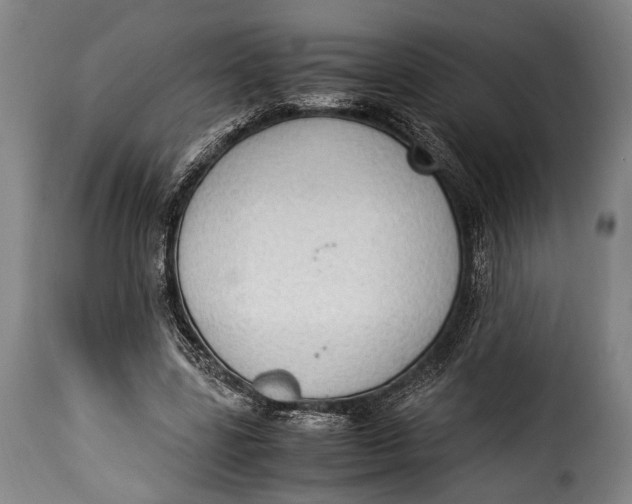 X0000115350539200911241155