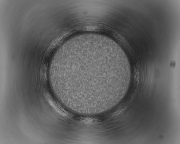 X0000115350542200911241155