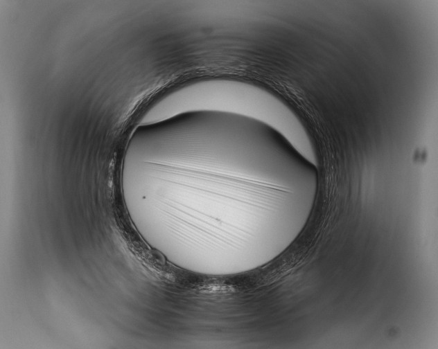 X0000115350543200911241155