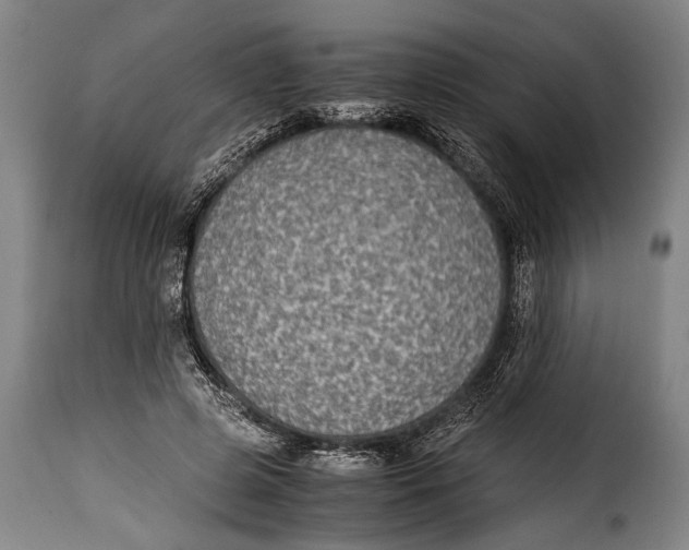 X0000115350545200911241155