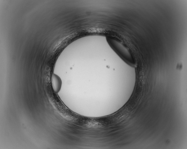 X0000115350547200911241155