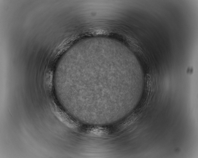 X0000115350550200911241155